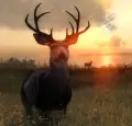 Magic Media TheHunter Classic. A deer standing in a sunlit meadow at sunset, with a scenic backdrop of rolling hills, a body of water, and other deer grazing in the distance.